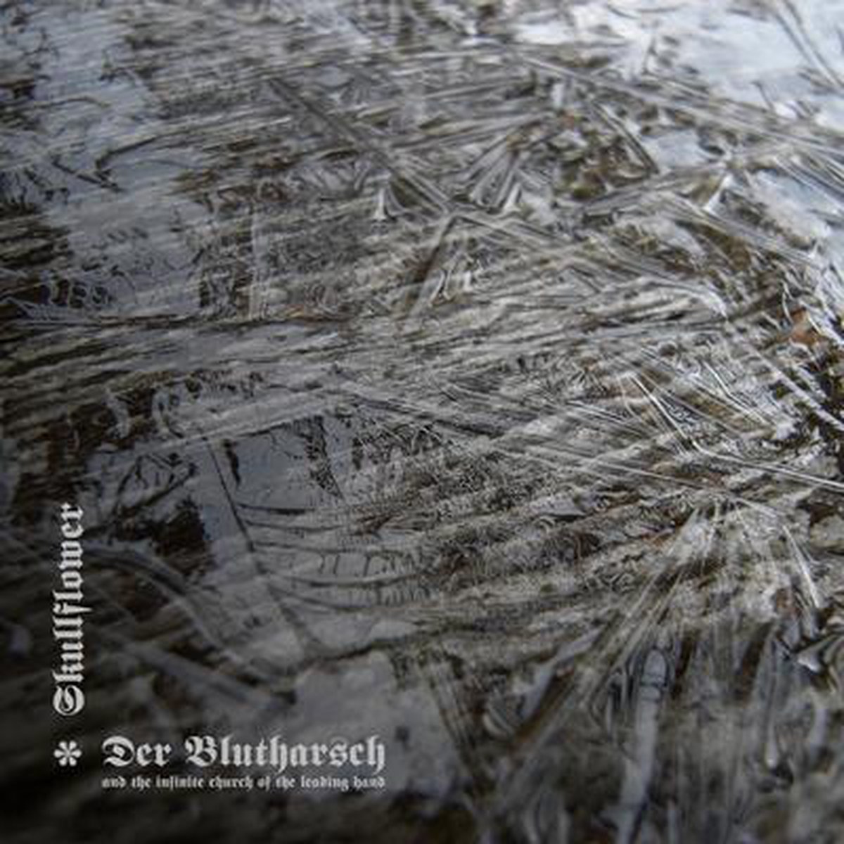 Der Blutharsch & The Infinite Church Of The Leading Hand - Collaboration (LP)