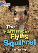 The Fantastic Flying Squirrel