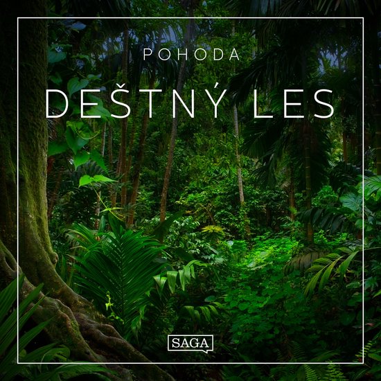 Pohoda - Deštný les - cover