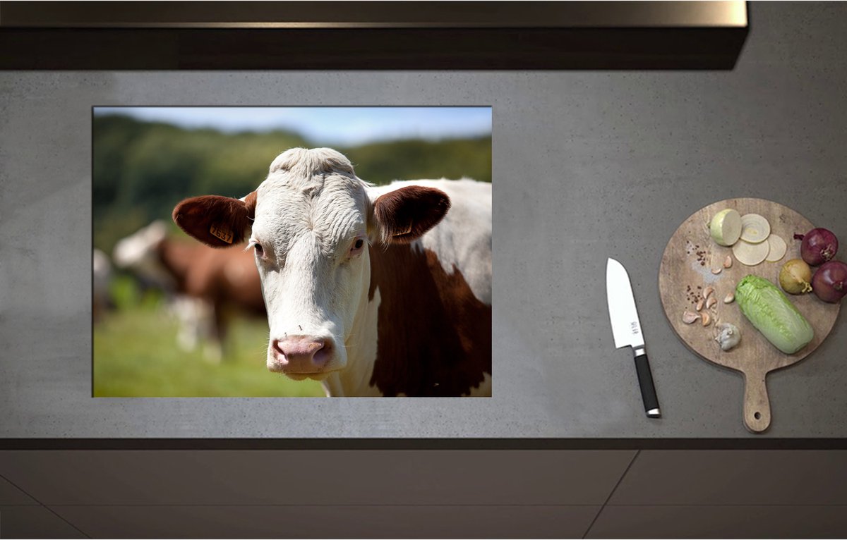 Inductieplaat Beschermer - Bruin met Witte Koe bij Andere Koeien in de Wei - 71x52 cm - 2 mm Dik - Inductie Beschermer - Bescherming Inductiekookplaat - Kookplaat Beschermer van Zwart Vinyl