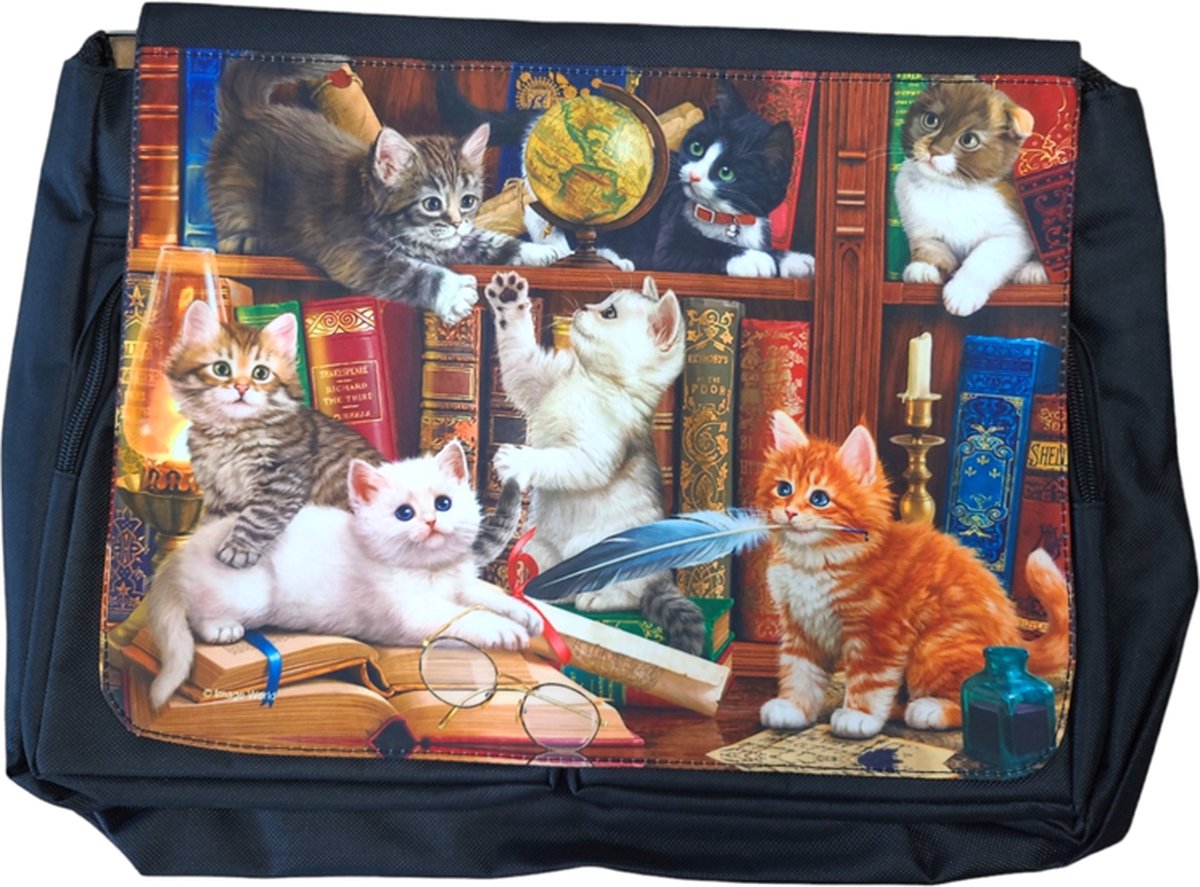 Kittens in Library Messenger Bag Big