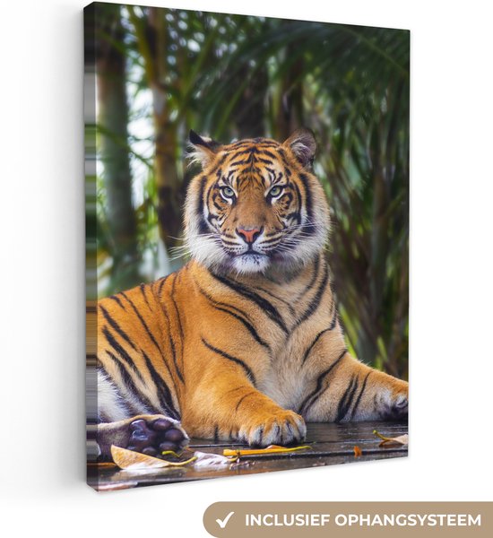 OneMillionCanvasses - Toile - Tigre - Arbres - Feuilles - Décoration murale - 30x40 cm - Impression sur Toile - Peintures sur Toile