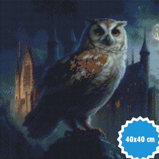 F4B Hibou de Poudlard Peinture de diamants 40x40cm | Pierres carrées | Harry Potter | Disney | Hiboux | Animaux | Oiseaux | Forfait Adultes et Enfants