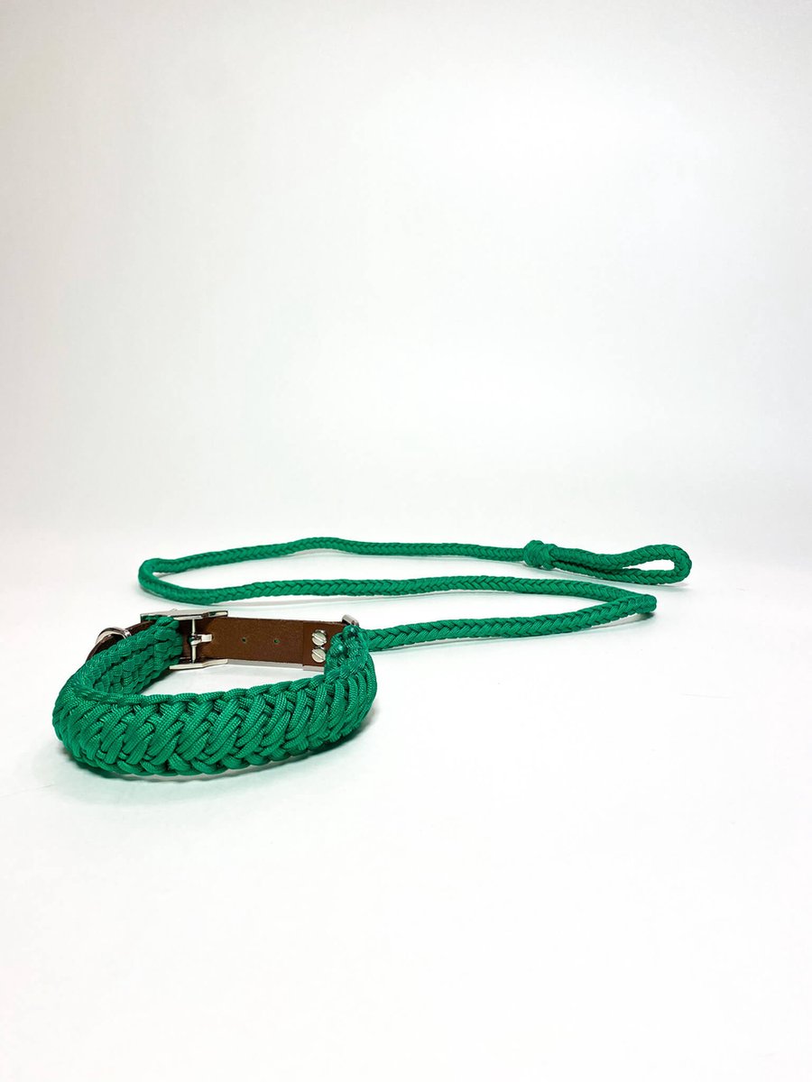 Maurette Set Halsband en leiband - uit Paracord - Halsband Diameter 46-54 cm - Leiband 150 cm - Large - Groen