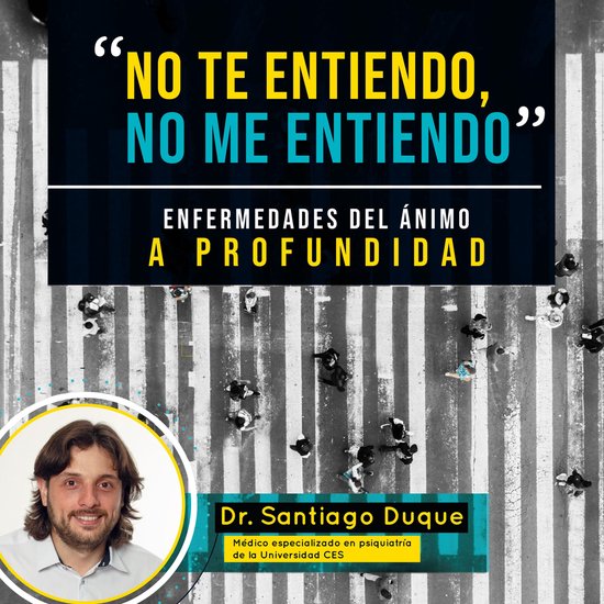 No te entiendo, no me entiendo. - cover