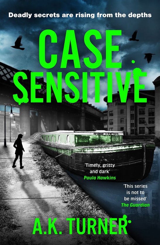 Cassie Raven 3 - Case Sensitive - cover