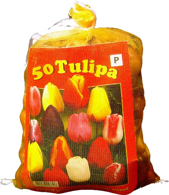 Tulpenbollen Darwin Mix direct leverbaar (XL-Verpakking) - 50 Bollen -