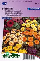 Sluis Garden - Goudsbloem Fiesta Gitana mix