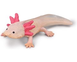 COLLECTA Figurine - Axolotl - (M) - Prehistorie - Handgeschilderd - Miniatuur