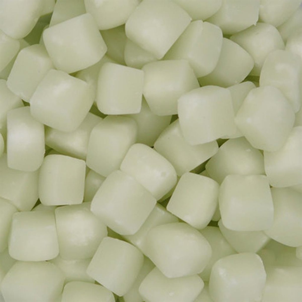 Joris Muntblokjes - Snoep - 1kg - Munt - Hard