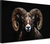 Ram schilderij - Dier wanddecoratie - Schilderij op canvas Hoorns - Wanddecoratie landelijk - Schilderijen canvas - Kunstwerken schilderij canvas 70x50 cm