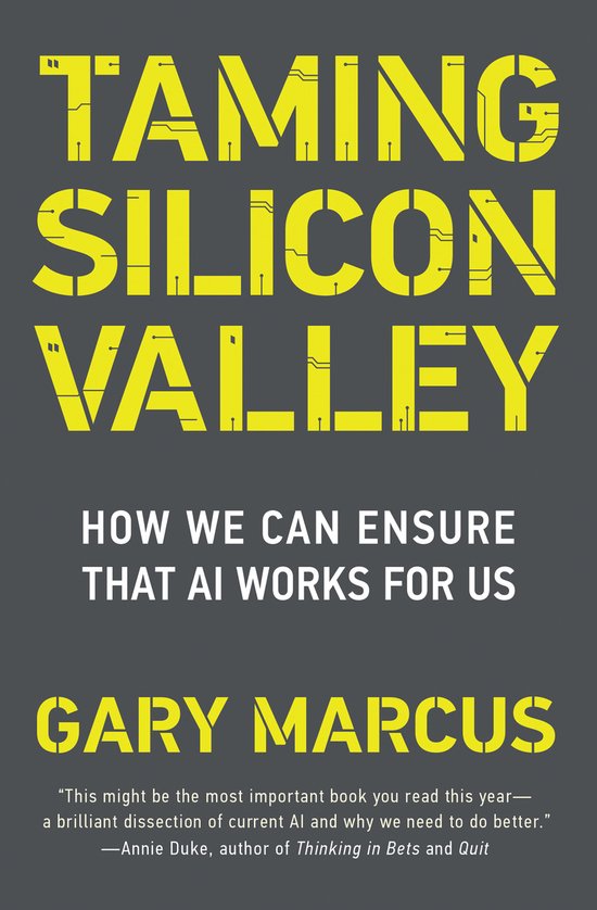 Taming Silicon Valley - cover