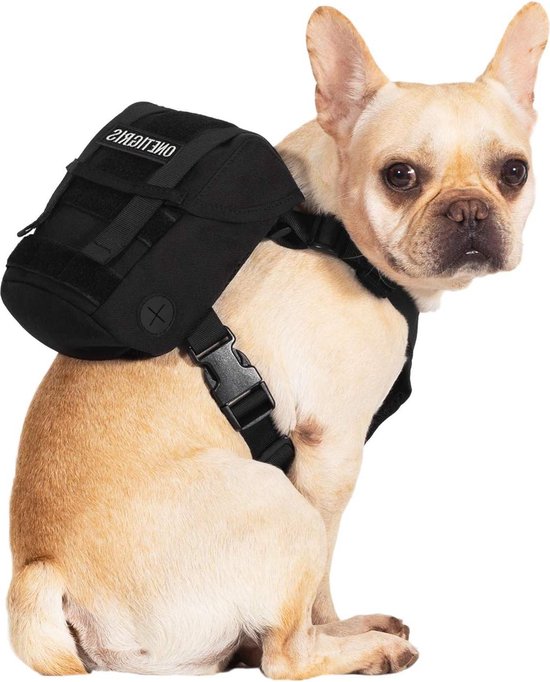 Vind rugzak voor kleine honden op - april 2026 Vind rugzak voor kleine honden op - april 2026