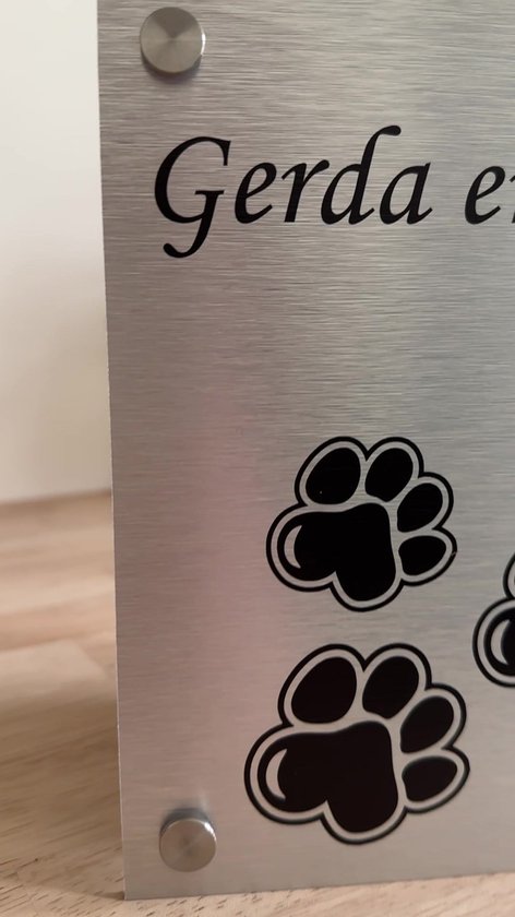 Pattes de la porte avant de la plaque signalétique Aspect acier inoxydable