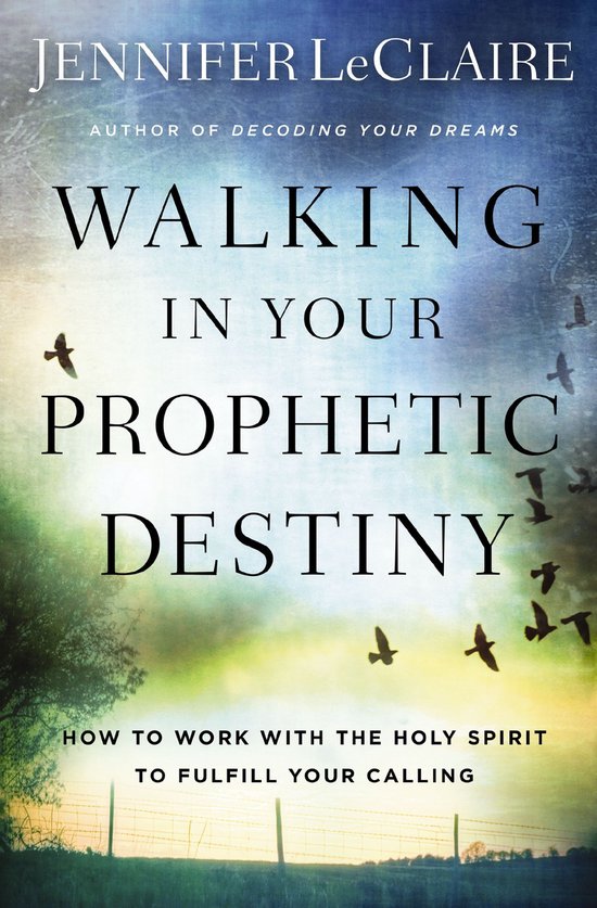 Walking in Your Prophetic Destiny How to Work with the Holy Spirit to ...