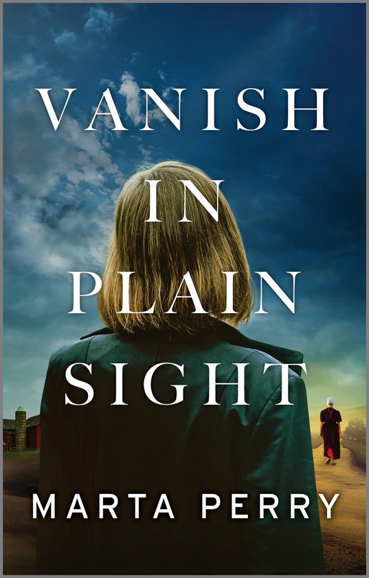 Brotherhood of the Raven 2 - Vanish in Plain Sight - cover