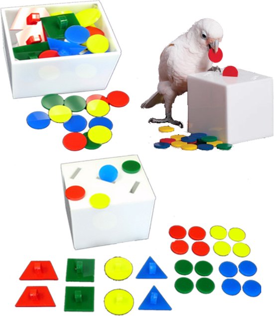 Zoo-Max Teach Box et Banc Medium - Intelligence des Jouets pour Perroquets - Jouets pour Oiseaux - Perroquets Jouets