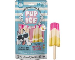 Pup Ice Hondenijsje Raket Yoghurt Aardbei Banaan