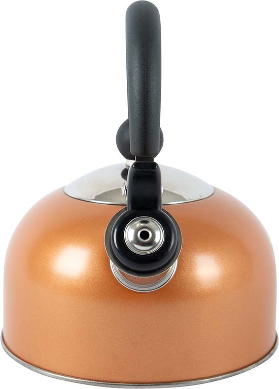 Bo-Camp - Collection Industrial - Bouilloire sifflante - Rhoda - 1,2 Litre - Inox - Induction