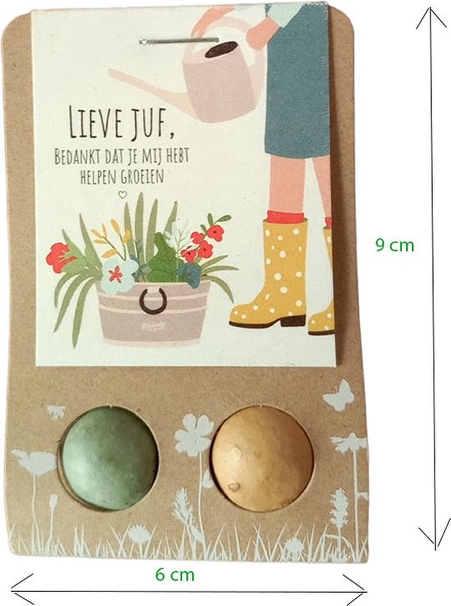 Floz Design bedankje juf - cadeau juf - wenskaart met zaadbommetje