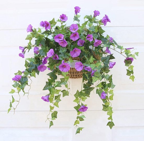Paarse ochtendgloriebloemen met groene bladeren, hangend uit een rieten mand.