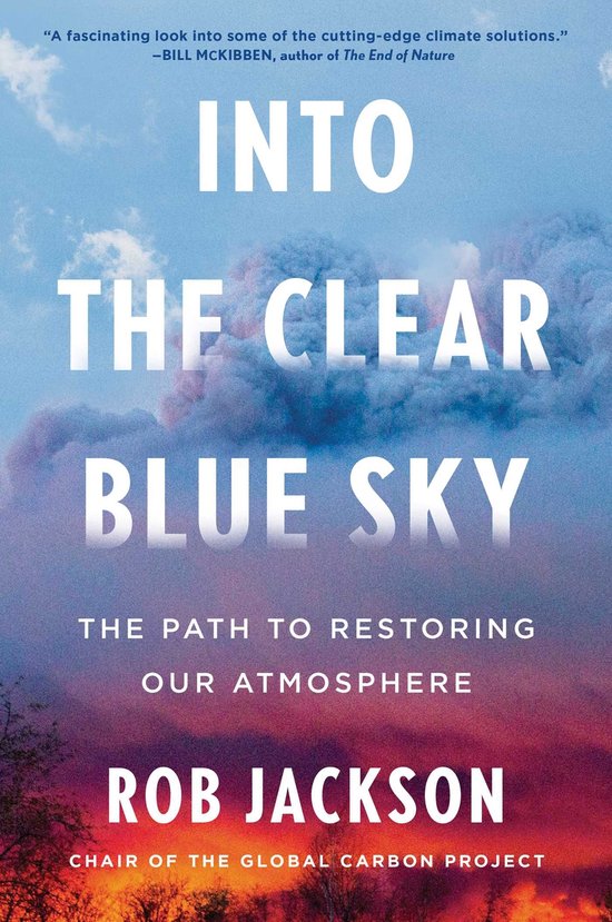 Into the Clear Blue Sky - cover