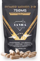 POWER MAXED 2.0 - Testosterone Booster- Vitamine D3 - Shilajit Resin - Turkesterone - Creatine Monohydraat - Creatine Monohydrate - Testo Fuel - Muscle builder
