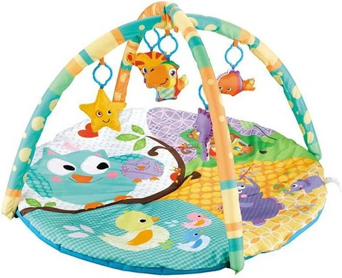 GlobeGoods Babyspeelgoed Babygym Babytapijt Activiteit Pasgeborene 82x82x48