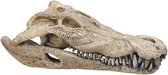 Aqua Ornaments crâne de crocodile 26 x 14 x 9 cm - décoration pour aquarium - 1 pièce