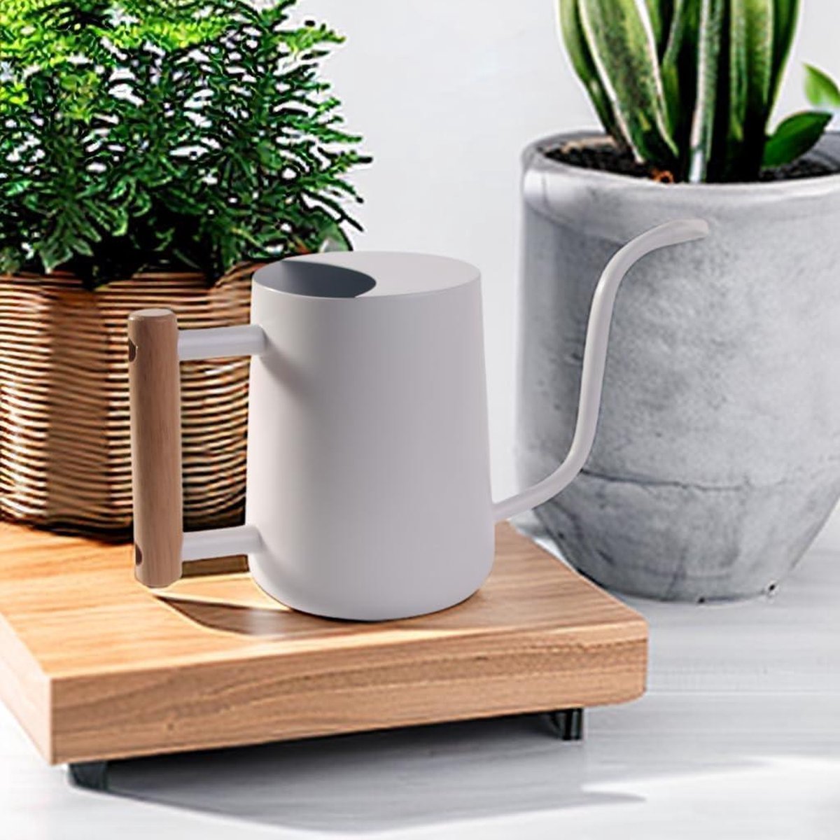 Kleine gieter voor kamerplanten roestvrij staal moderne decoratie - lange uitloop voor binnenplanten bonsai outdoor tuin - wit