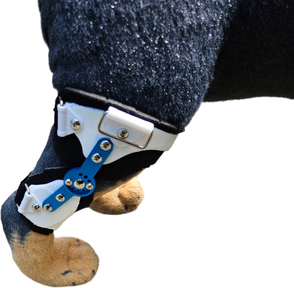 Brace, hond knieBrace, dog brace, hond knie splak, hond harnas, hond brace, hond knie protector, hond knie brace, hond steun, hond knie splint, hond braces, braces, dog supports, hond beugels, hond knie beugels,hond bandage.