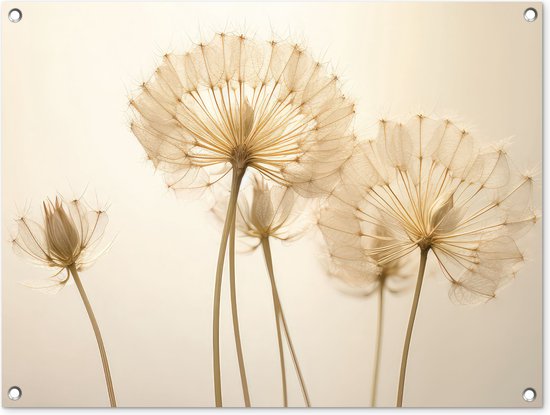 Tuinposter 80x60 cm - Tuindecoratie Zonlicht - Paardenbloem - Botanisch - Bloemen - Poster voor in de tuin - Buiten decoratie - Schutting tuinschilderij - Tuindoek muurdecoratie - Wanddecoratie balkondoek