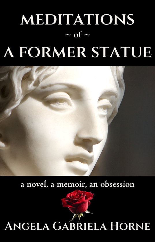 Meditations of a Former Statue - cover
