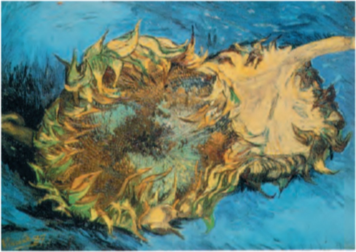 Catch Projecten Vincent van Gogh - Zonnebloem - Kunstposter - 40x50 cm Multicolor