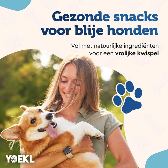 Vrouw met groene jurk die een corgi vasthoudt