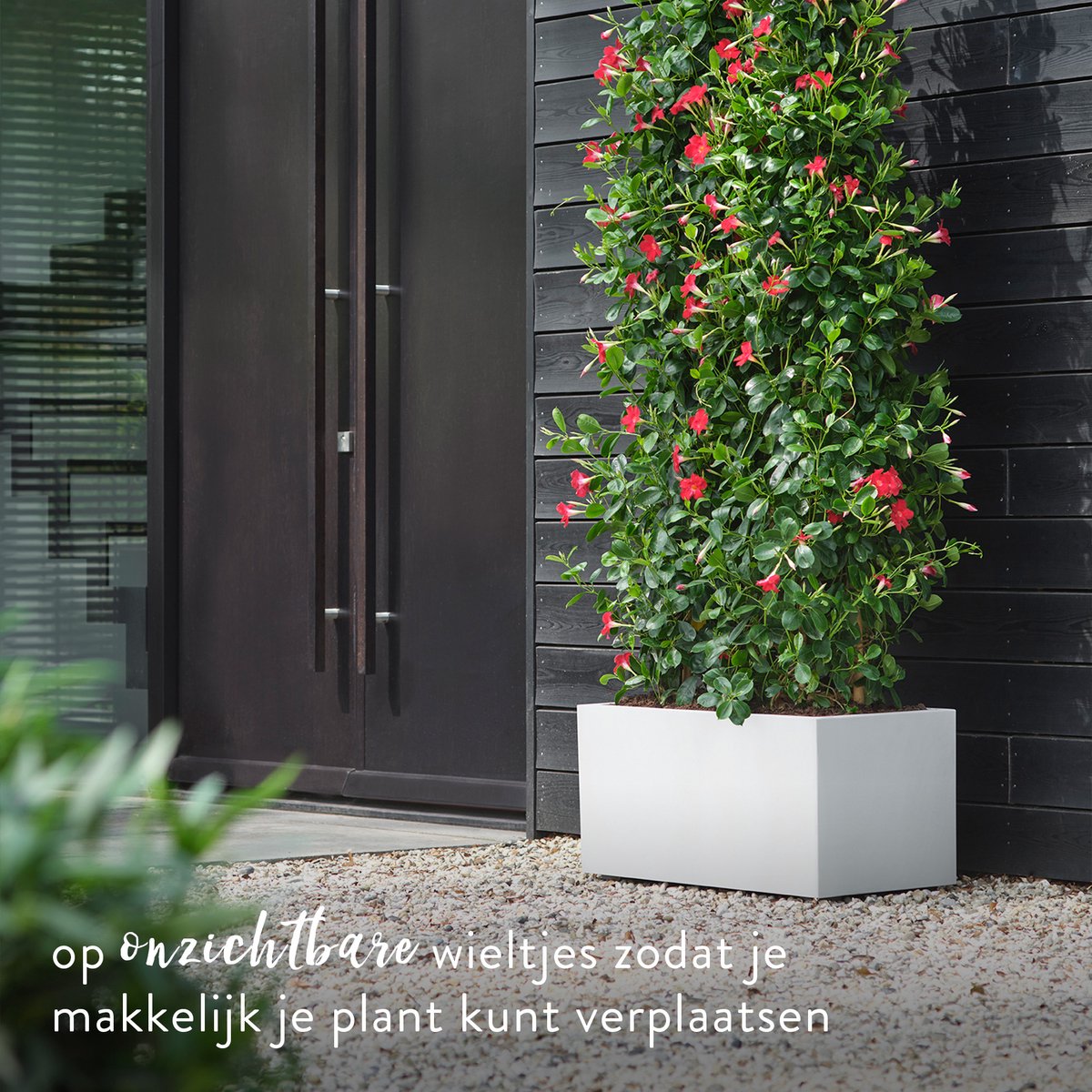 Elho Vivo Next Long 60 - Indoor & Outdoor Rectangular Planter
