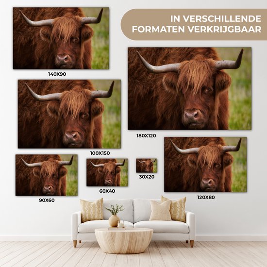 Tableau sur toile Scottish Highlander - Oranje - Animaux - 140x90 cm - Décoration murale