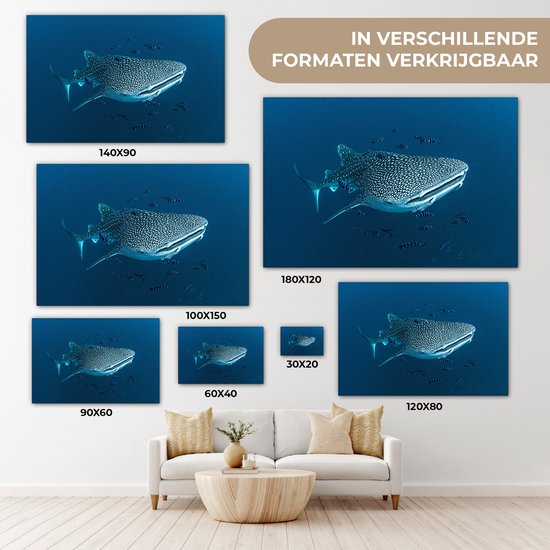 Tableau sur toile Un requin baleine à pois - 150x100 cm - Décoration murale