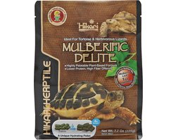 Hikari Turtle Mulberific