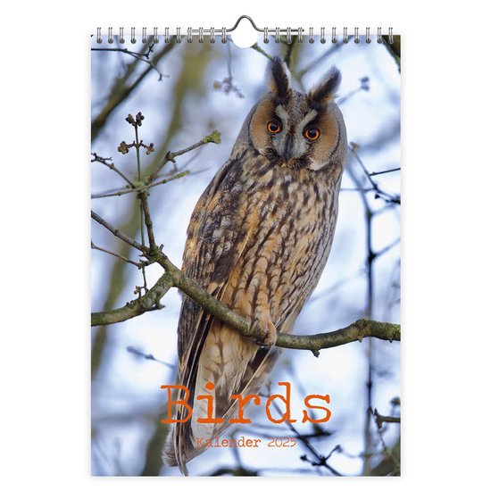 Birds Kalender 2025 | bol