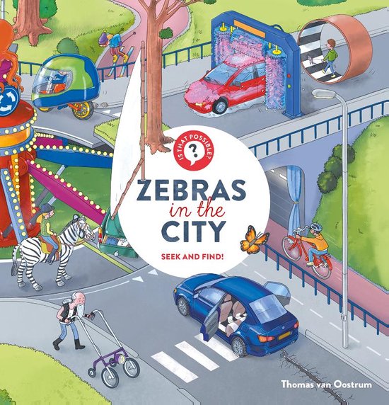 Zebras in the City - cover