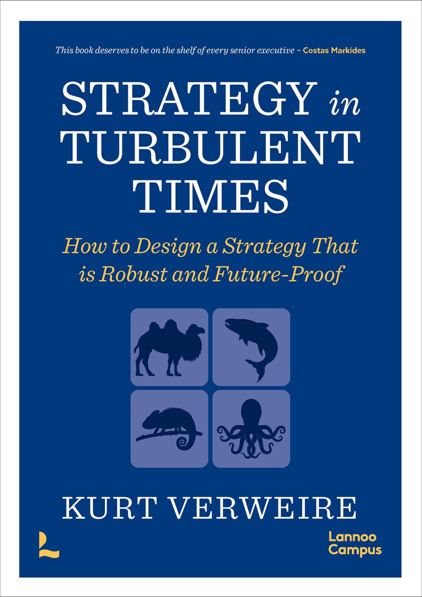 Omslag van Strategy in Turbulent Times