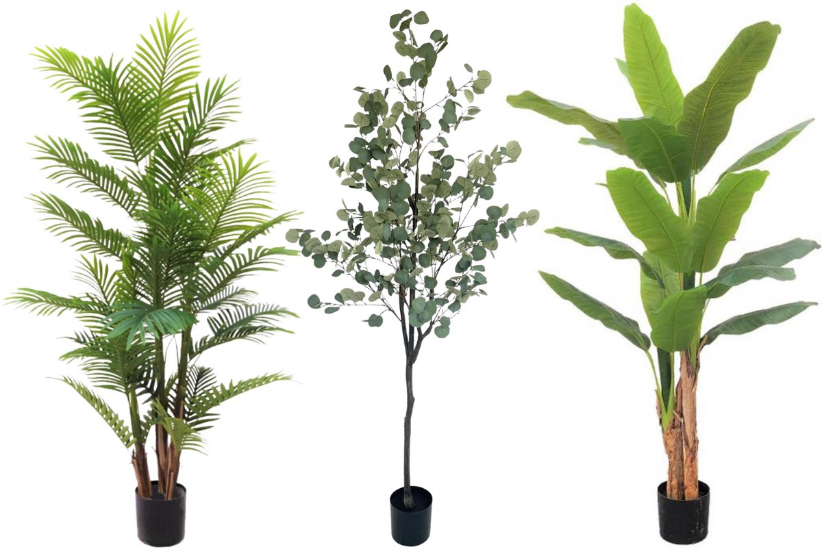 PrettyPlants Kunstplantenpakket Go Big Or Go Home - Grote kunstplantenpakket | Kunstplanten voor Binnen | Kunstpalm 180cm, Kunst Bananenplant 180cm, Eucalyptus Kunstboom 180cm Groen