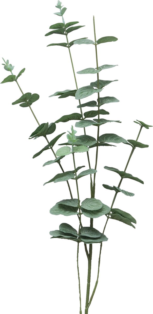 Bellatio Design Kunstplant takken Eucalyptus Cinera - 90 cm - 5 takken - kunst bladgroen - decoratief - zijdebloemen Lichtgroen