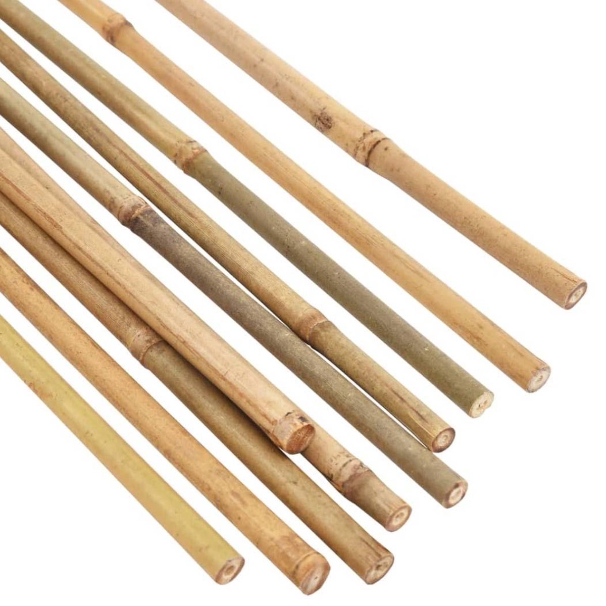 Ferrarium 50 stuks 122cm bamboestokken 14-16 mm - bamboe stokken - bamboostokken - tonkinstokken - grote bamboestokken - bamboestok groot - bamboestokken groot - tonkinstokken - moestuinstokken - opbindstokken - boontjes opbinden