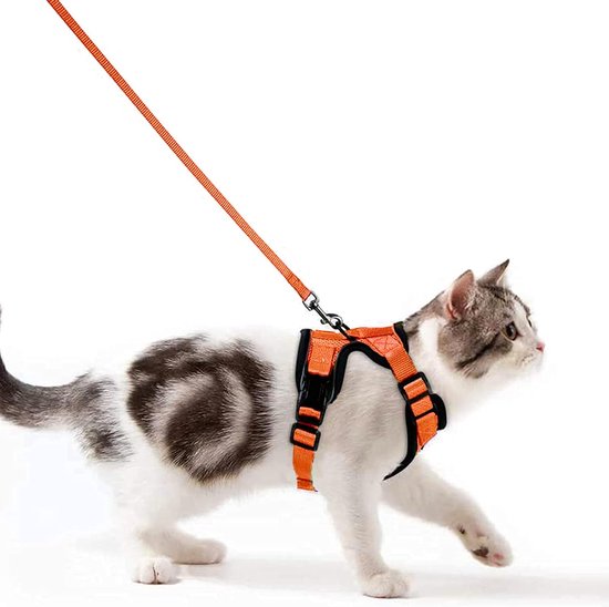 Kattenharnas en riem om te wandelen, kitten Escape Proof Kattenharnas en riem om te wandelen, kitten Escape Proof