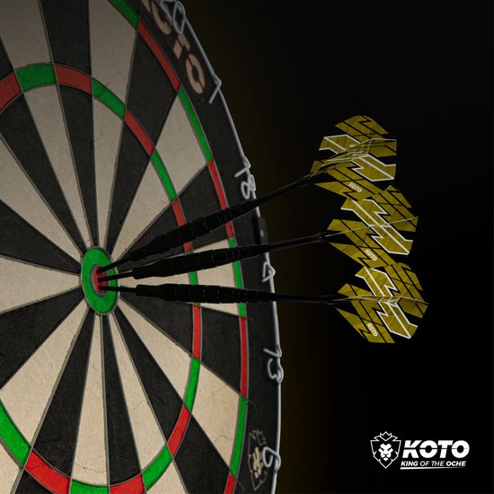 KOTO Converter Brass Darts, GiftSet, SteelDarts & SoftDarts, 21 Gram Konvertierbare Dartpijl, Sowohl für Sisal Dartscheiben als Elektronische Dartboards Geeignet, Geschenkverpackung van KOTO — afbeelding 4