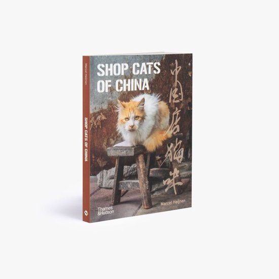 Shop Cats of China - cover