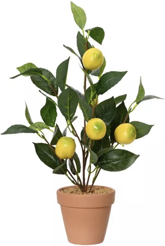 Kunstplant - citroen boompje - citroenplant - 45 cm hoog