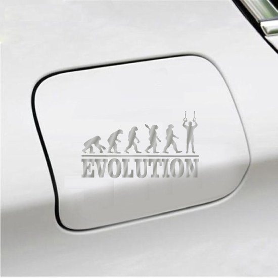 Foto: Bumpersticker evolution turnringen 20x9 3 zilver